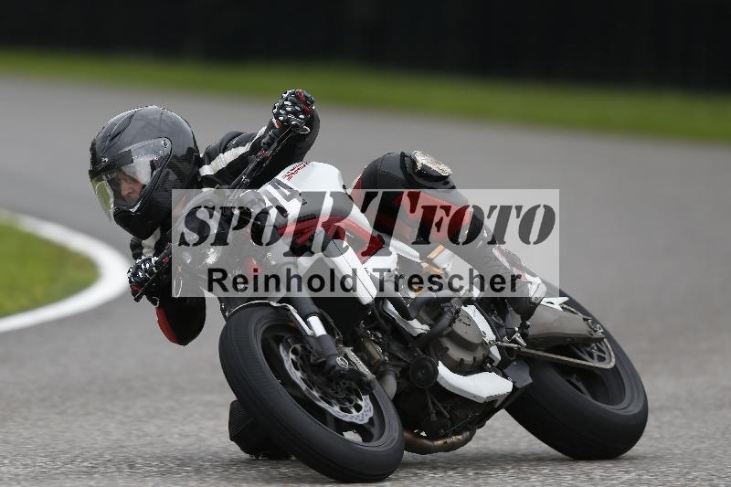 Archiv-2025/50 08.09.2025 PROMAX ADR/74